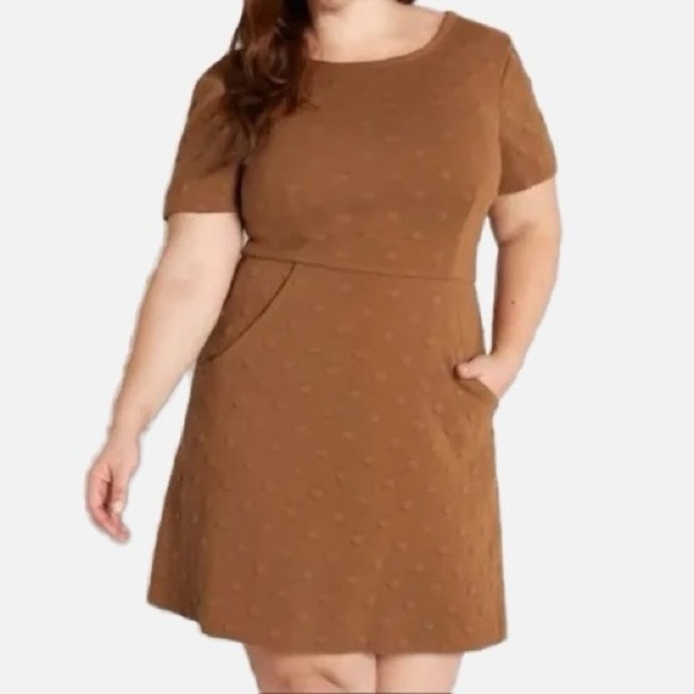 Anthropologie Hutch Fraida Texture Dot Fit & Flare Dress in Cinnamon - Size SP